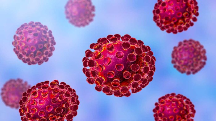 Covid miércoles