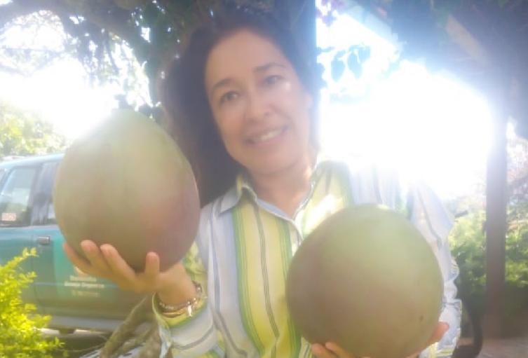 Mango