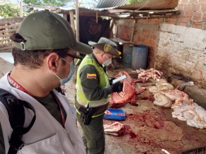Carne