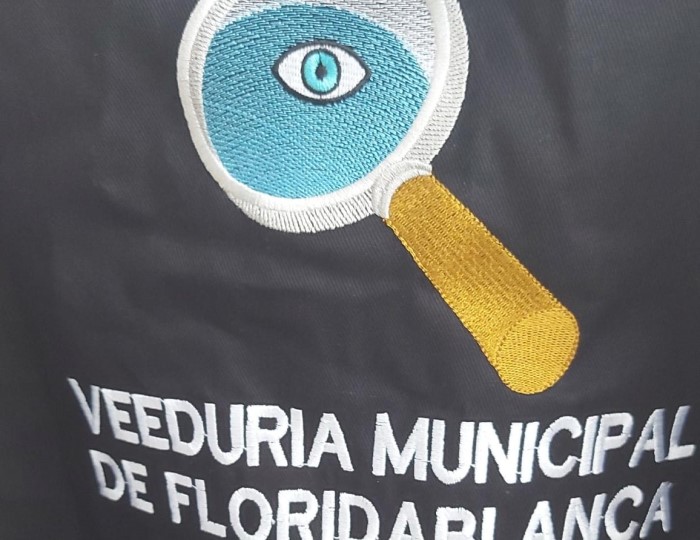 Veeduría
