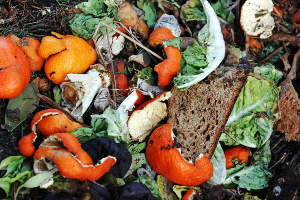 Alimentos contaminados