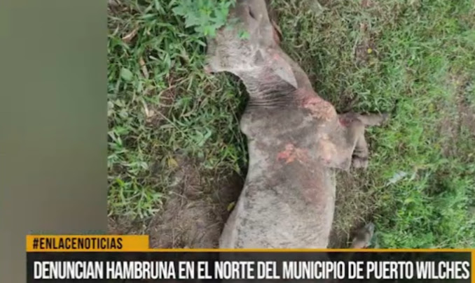 Reses muertas