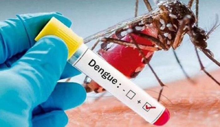 Alerta por dengue