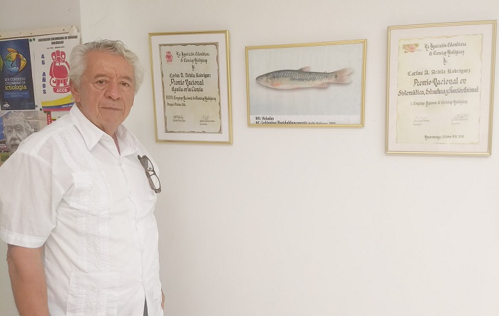 Carlos Ardila Rodríguez