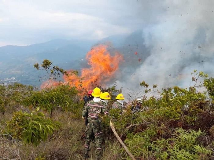 Incendio Piedecuesta