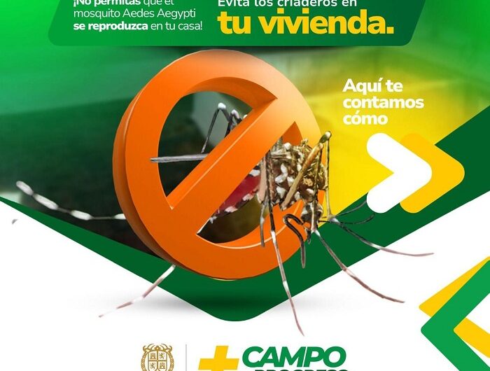 Dengue Girón