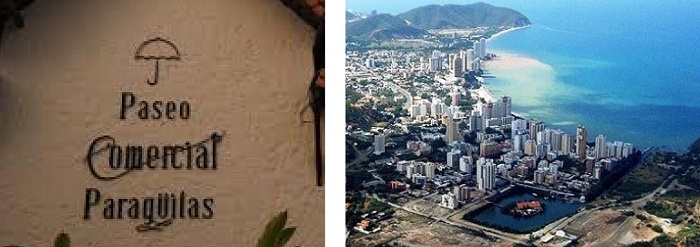 Paraguitas