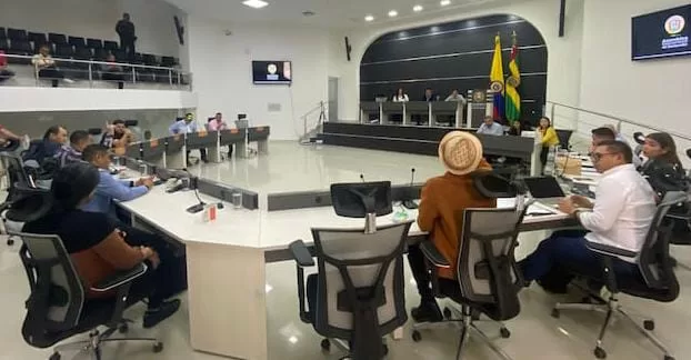 Asaamblea departamental