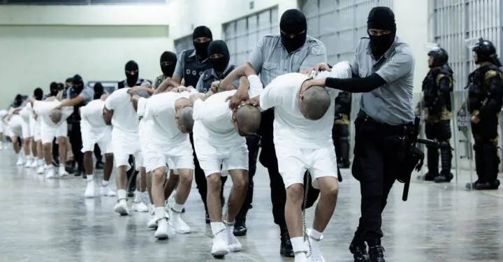 Liberados
