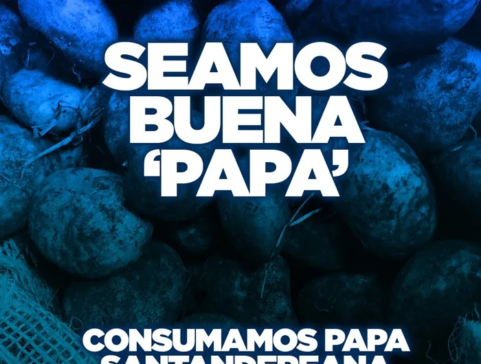 Papatón