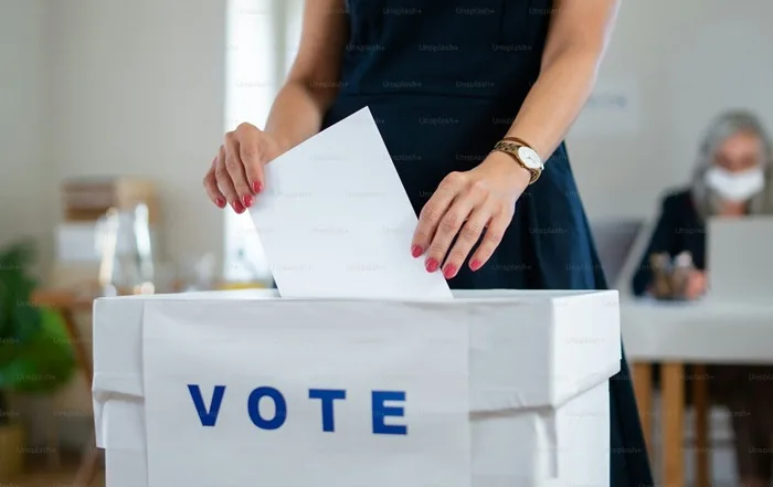 Elección interna