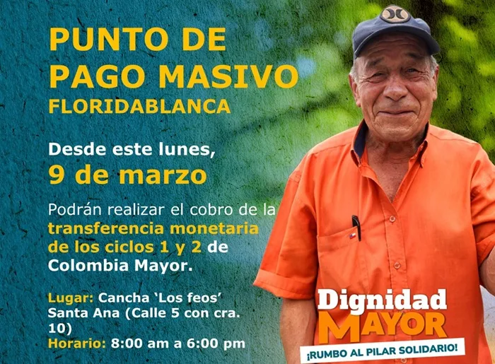 Adulto Mayor