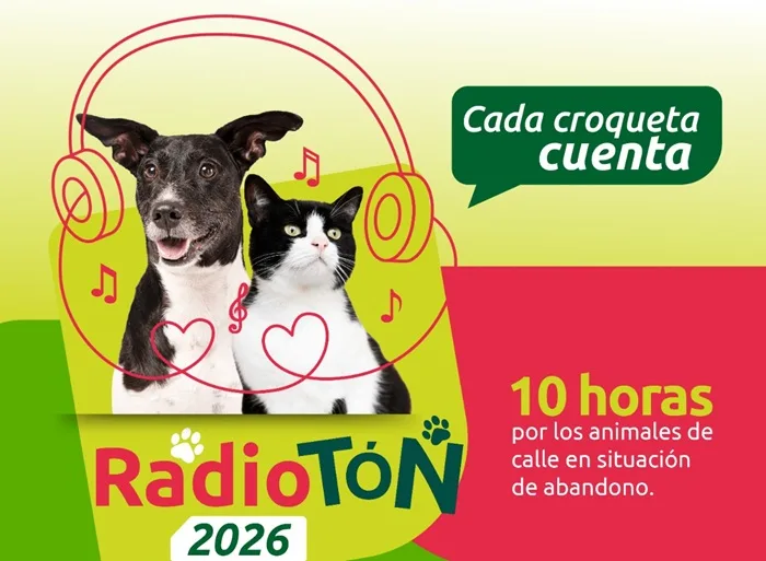 Radiotón