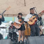 Fesstival