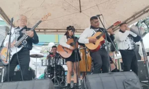 Fesstival