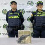 Adolescentes