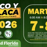 Pico y placa