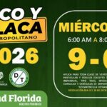 Pico y placa