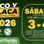 Pico y placa