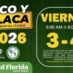 Pico y placa