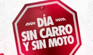 Sin carro y sin placa
